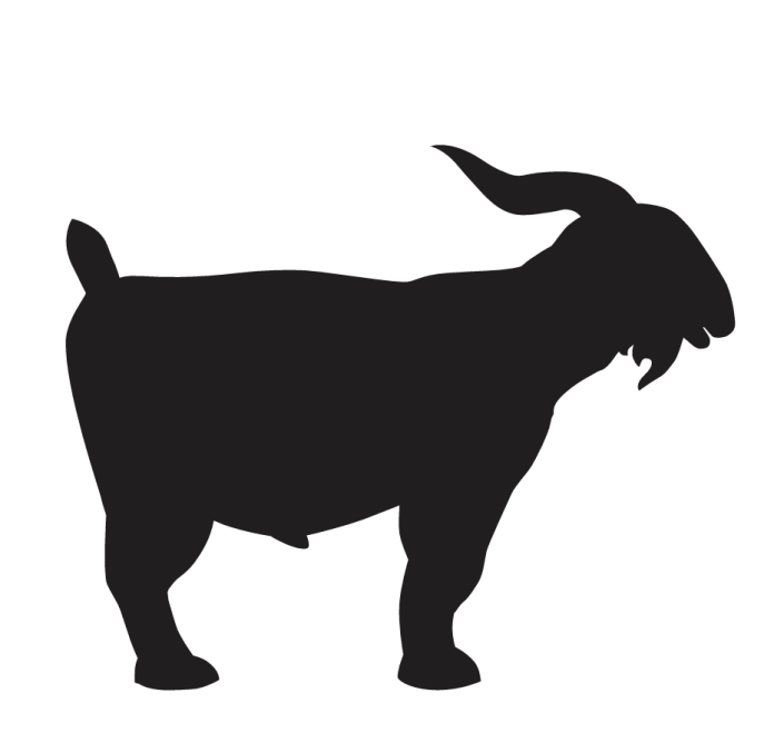 Gesamtform Düxer Bock