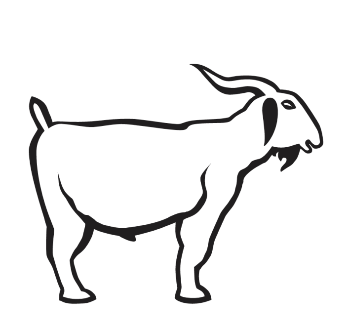 Zeichnung vom Düxer Bock